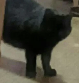 Стикер Создано в @sozdsti_bot - 2