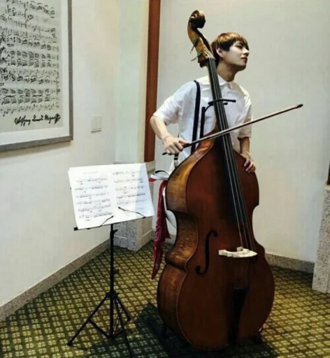 music bowed instrument musical instrument