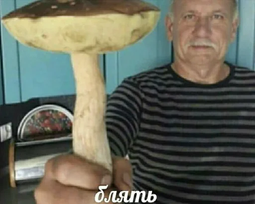 person fungus edible mushroom