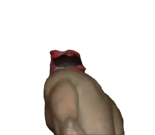 Sticker Ricardo Milos - 1