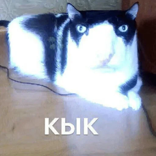 Sticker RmajBUorsKW_by_stickers_stealer_bot - 1