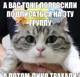 Стикер 💕Стики тут: @sekstick - 7