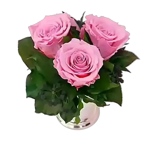 Стикер Rnv_MqXIFe_by_sticker0016Bot - 1