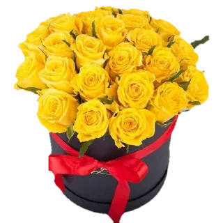 Стикер Rnv_MqXIFe - 0