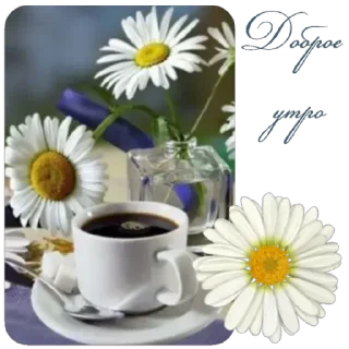 Стикер Rnv_MqXIFe - 3