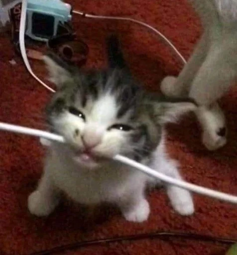 Стикер Роберт в супер маси :: @fStikBot - 5