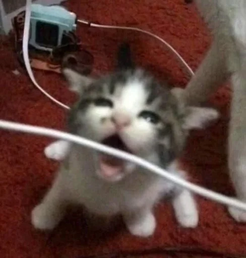 Стикер Роберт в супер маси :: @fStikBot - 4