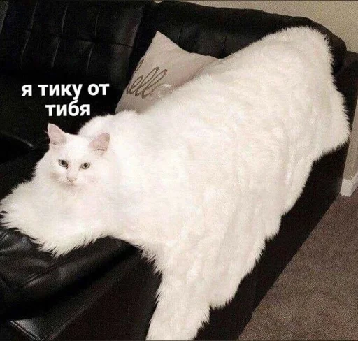 Стикер Роберт в супер маси :: @fStikBot - 0