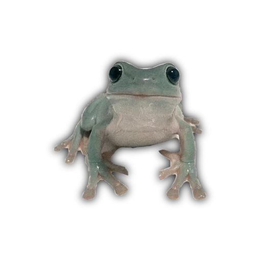 Стикер RobesHiantDebag_by_fStikBot - 1