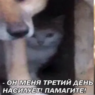 Стикер Roma-lox - 10