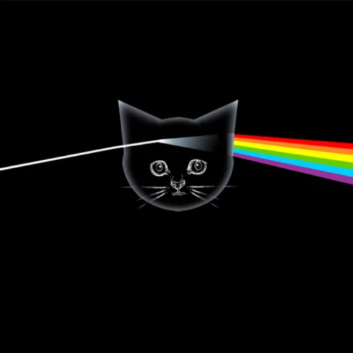 cat rainbow art