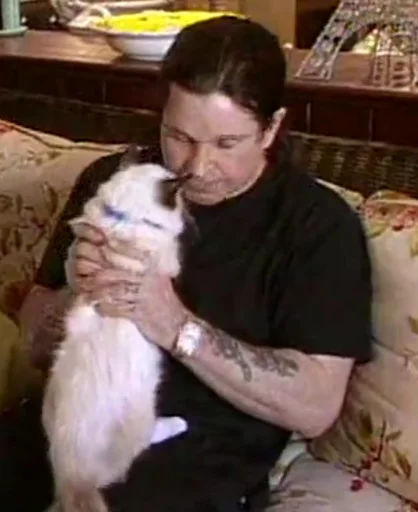 animal mammal person