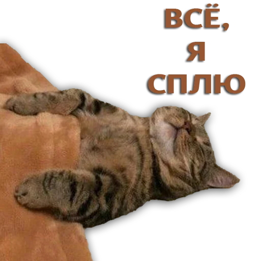 Стикер 3121 - 11