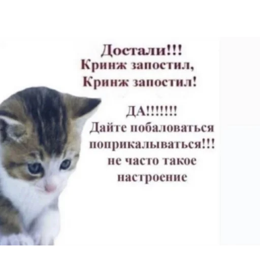 Sticker Rofl_1000 - 1