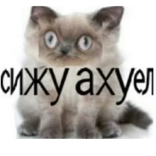 Стикер Ответочки - 9