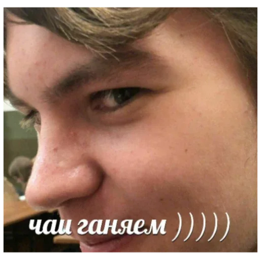 Sticker Roflanebalo29 - 1