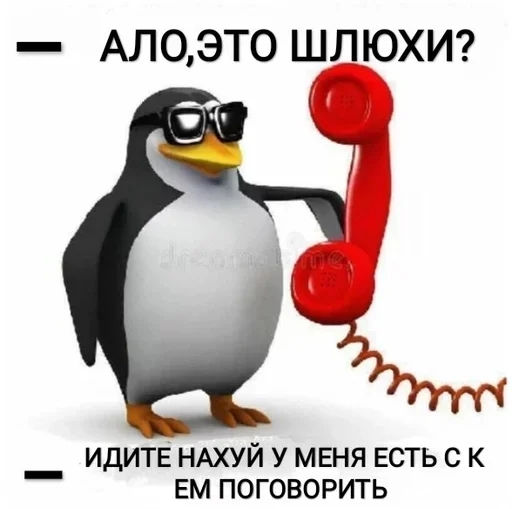 penguin aquatic bird flightless bird