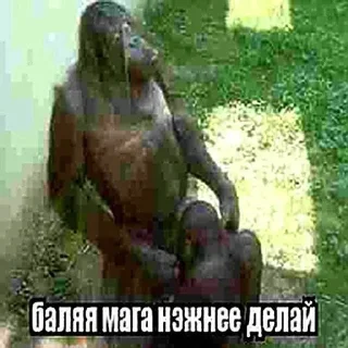 Стикер 🤠 @OkoSauronaDarkBot - 9