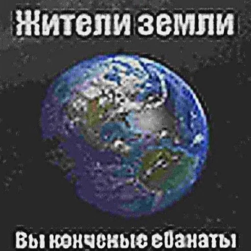 Рофлянка @dekostiker - 