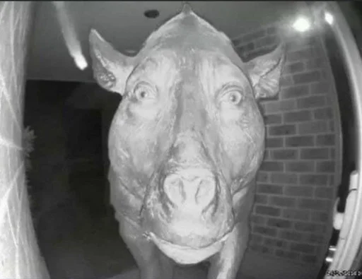 Sticker .йух :: @fStikBot - 3