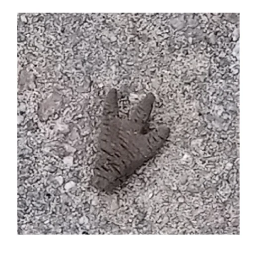 Рома!?!??!??!?!?!??!?!! - 