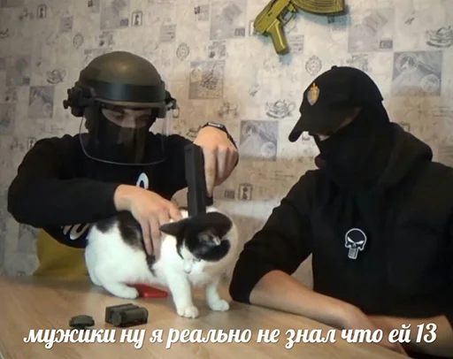 млекопитающее Человек комнатный