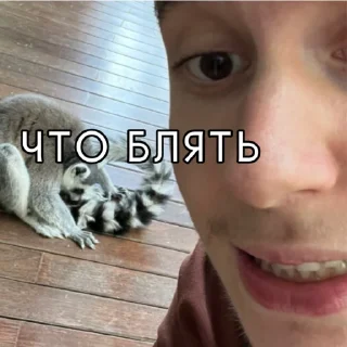 Стикер Kisselo1 - 4