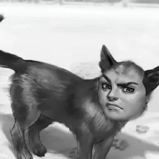 Sticker Пизлюки: Ромашка, тошка, барашик 🥵🤲 - 9