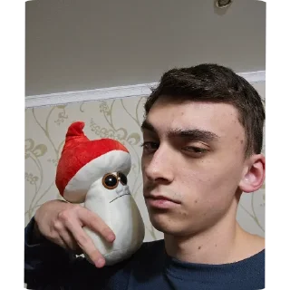 человеческое лицо комнатный Человек