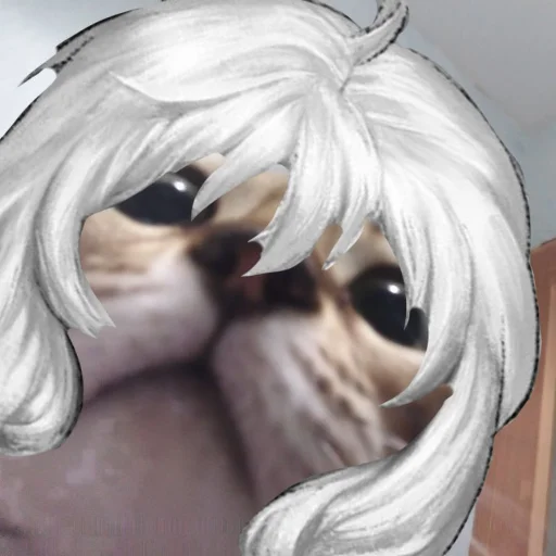 Sticker Ромка🛐❤ - 1