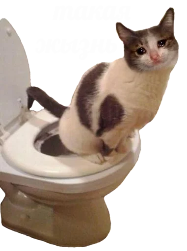 Sticker Romkaotp - 1