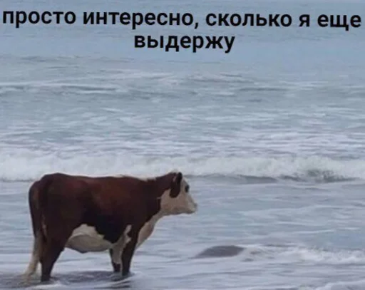 Стикер Romkaotp - 1