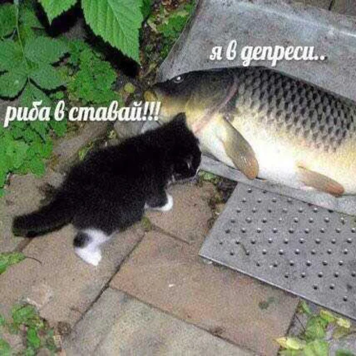 Sticker Romkaotp - 1