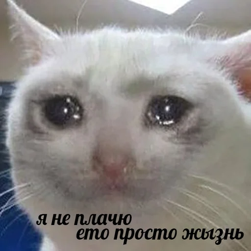 Sticker Romkaotp - 1