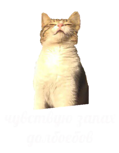 Стикер Romkaotp - 1