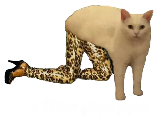 Стикер Romkaotp - 1