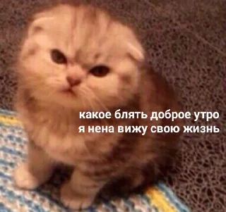 Sticker Luno4ka - 11