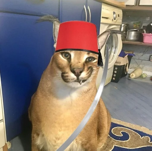 Шлёпа :: @fStikBot - 