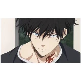 Sticker Рон Камонохаси - 9