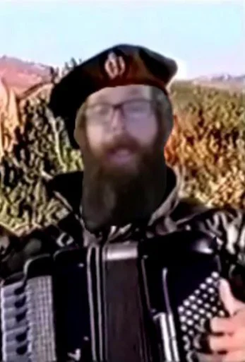 accordion music person