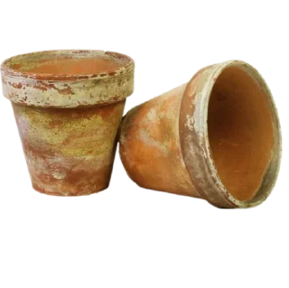 Sticker лягушачьи тропки тгк: @roomwitch - 8