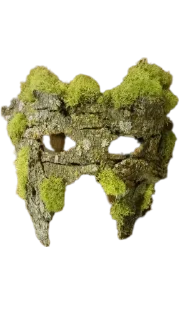 Sticker лягушачьи тропки тгк: @roomwitch - 5