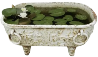 Sticker лягушачьи тропки тгк: @roomwitch - 4