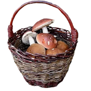 Sticker лягушачьи тропки тгк: @roomwitch - 3