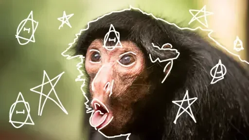 Sticker Roookvd_by_TgEmodziBot - 1