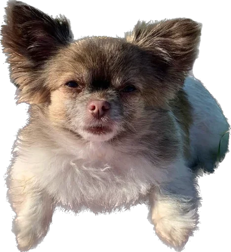 Стикер Roorrrberrr - 1