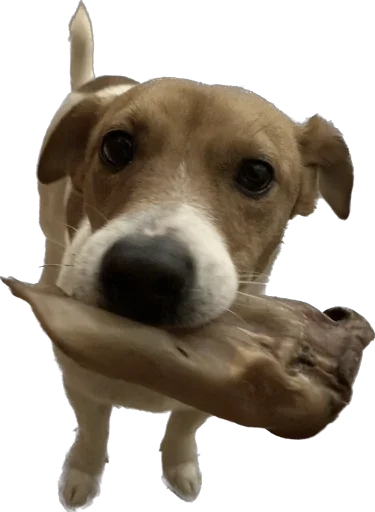 Стикер Roorrrberrr - 1