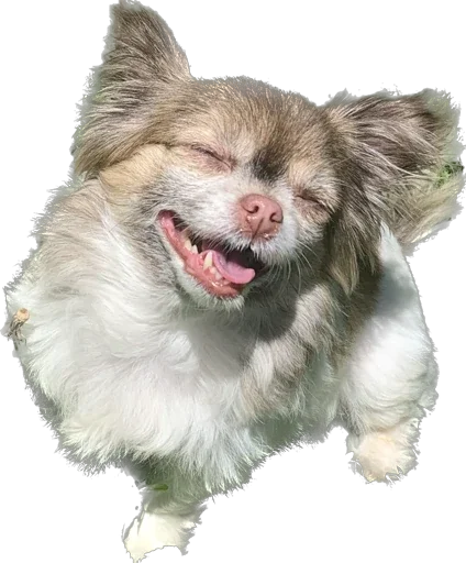 Стикер Roorrrberrr - 1