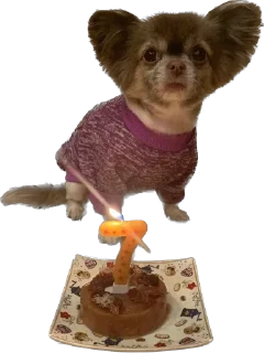 Стикер RockkkyBerrrta - 4