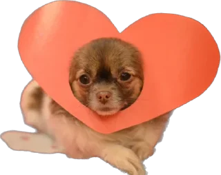 Стикер RockkkyBerrrta - 0